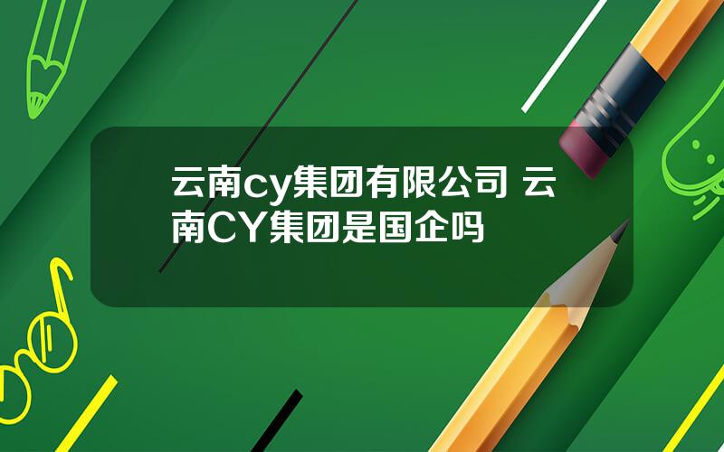 云南cy集团有限公司 云南CY集团是国企吗